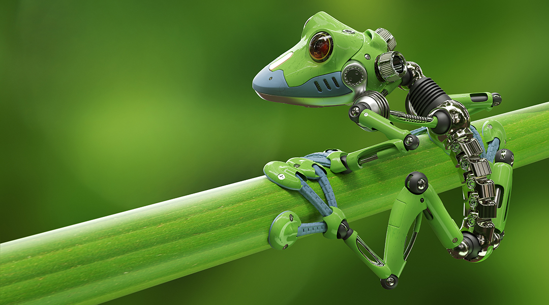 Team builds first living robots using frog stem cells