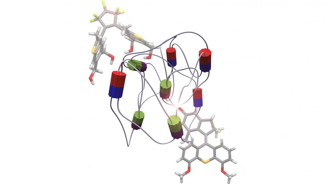 From molecular motors to stimuli-responsive materials