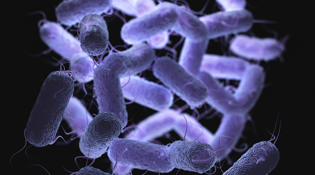 Autonomous microtrap for pathogens