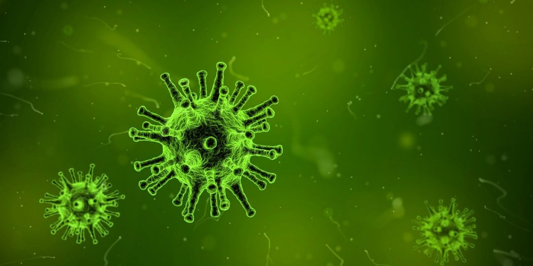 Coronavirus: Scientists mobilize to fight