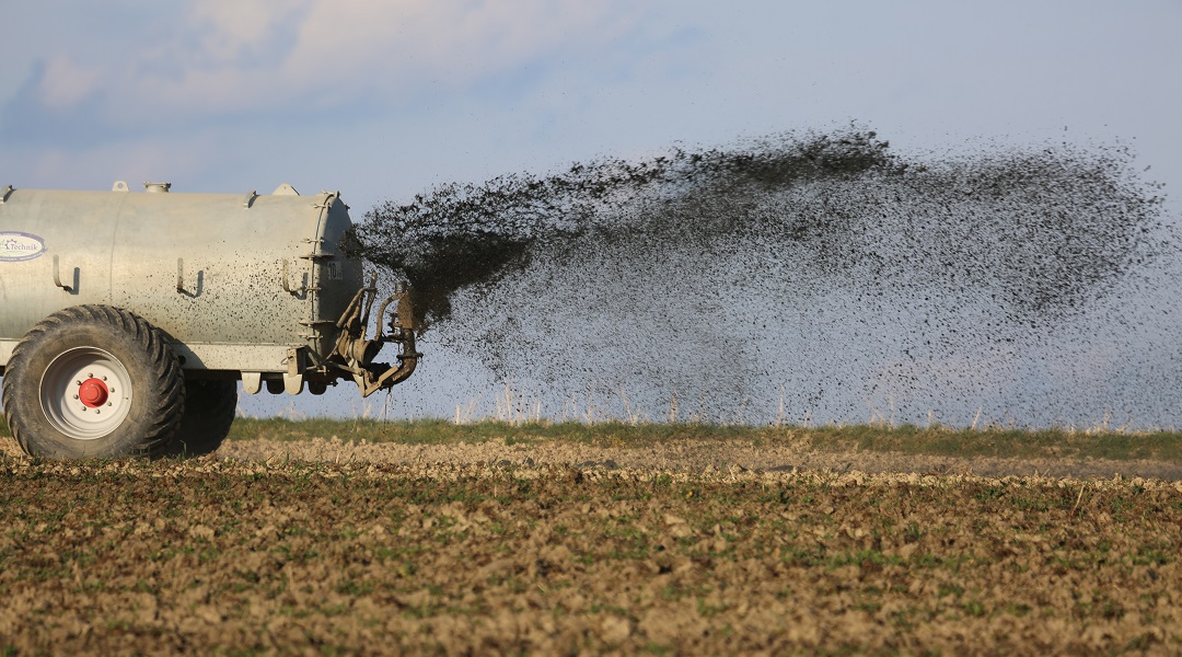 Converting nitrate-pollution into feedstock