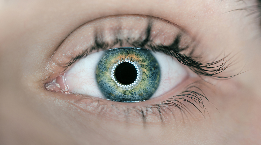 Wearable electronic contact lenses as non-invasive brain sensors