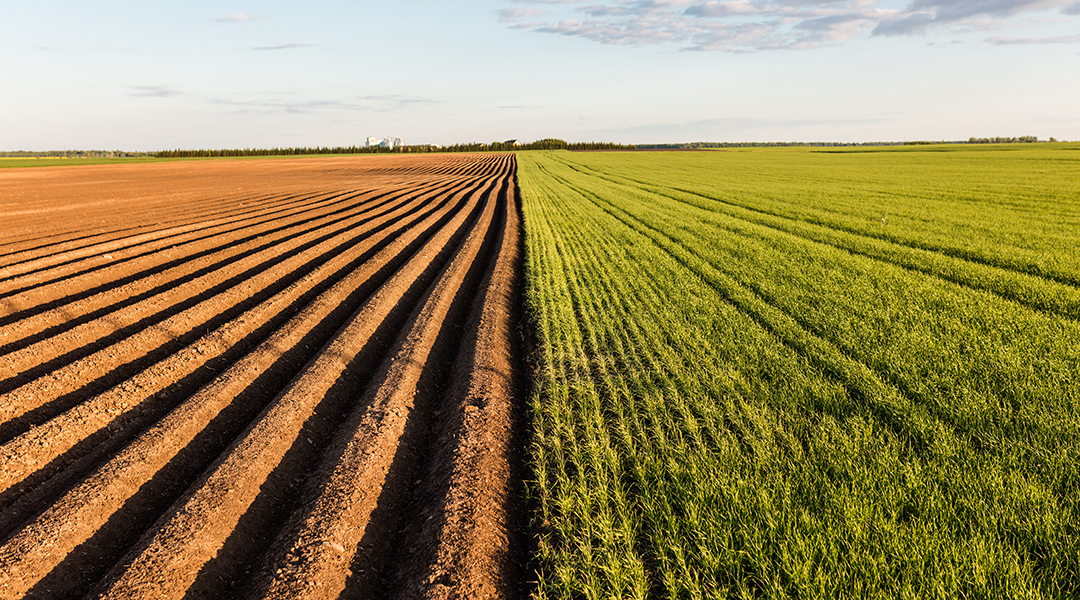 Climate change to create farmland in the north, but at environmental costs