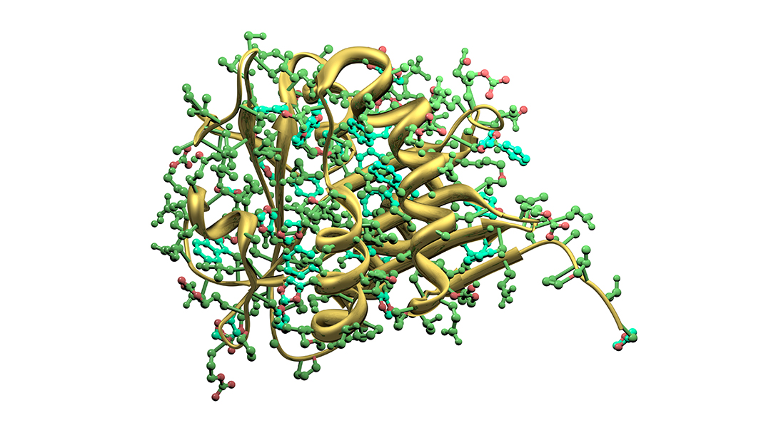 Developing artificial enzymes using computers