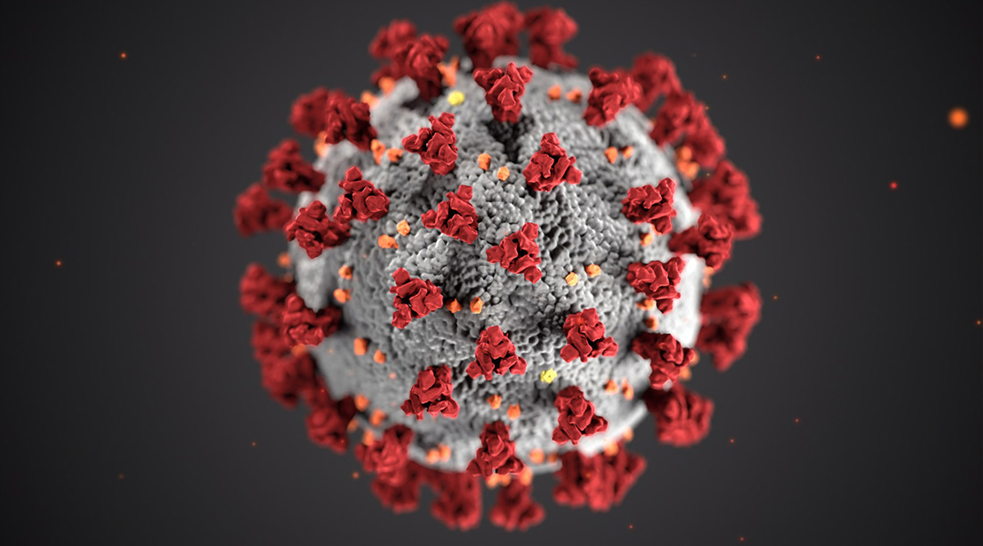 Supercomputer simulates molecular model of SARS-CoV-2