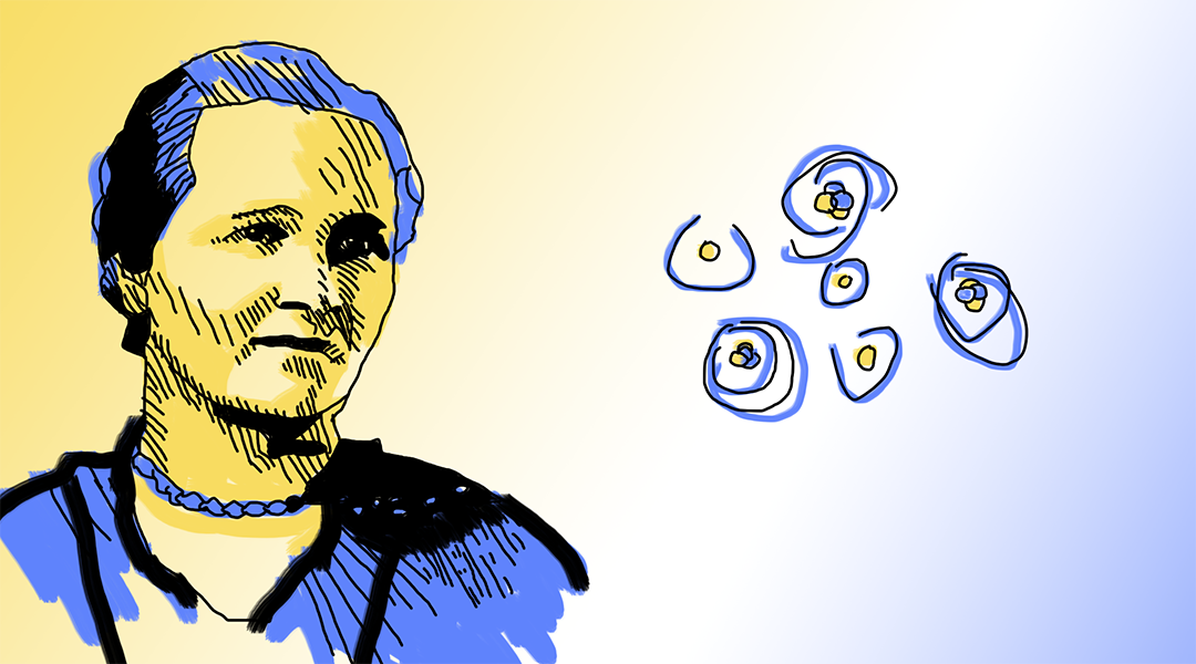 Pioneers in Science: Cecilia Payne-Gaposchkin