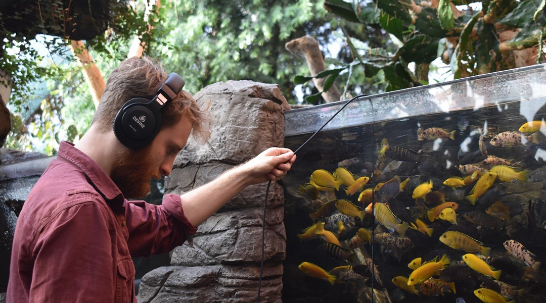 Ecoacoustics: A new way to survey freshwater ecosystems