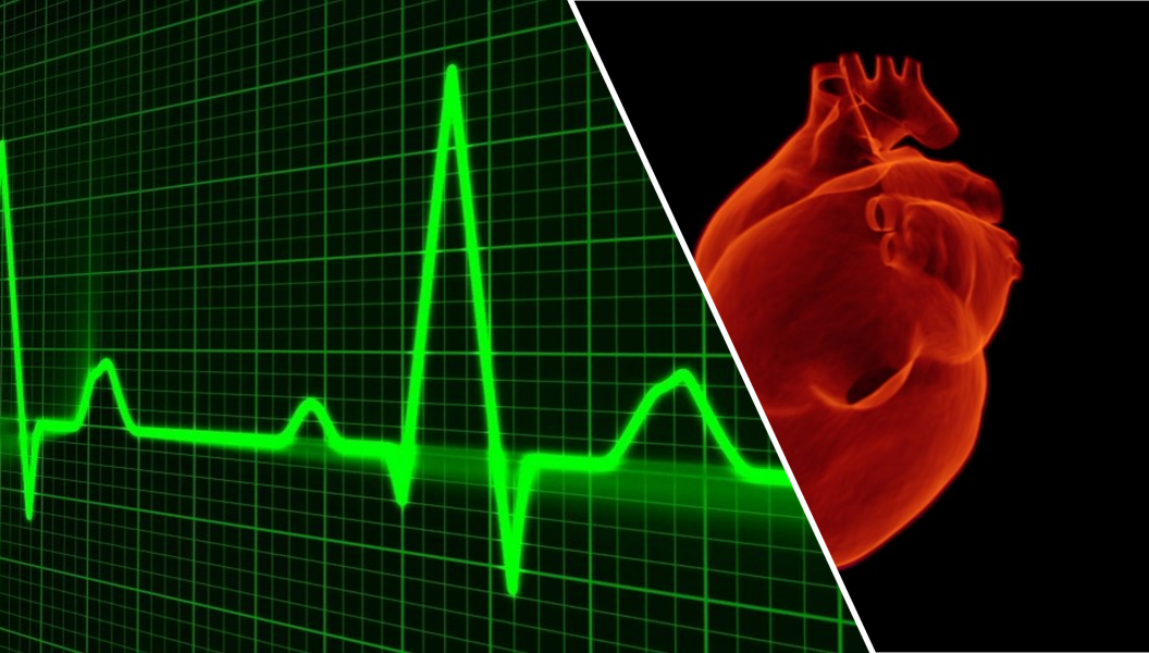 A new epicardial composite mesh to treat arrhythmias