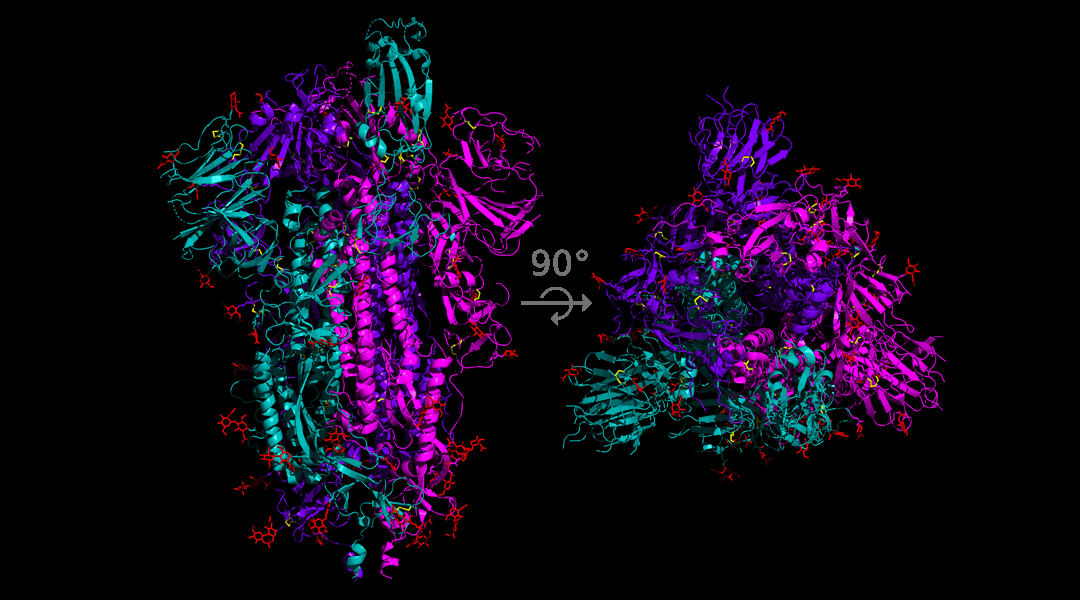 Tracking and analysis of SARS-CoV-2 spike protein mutations