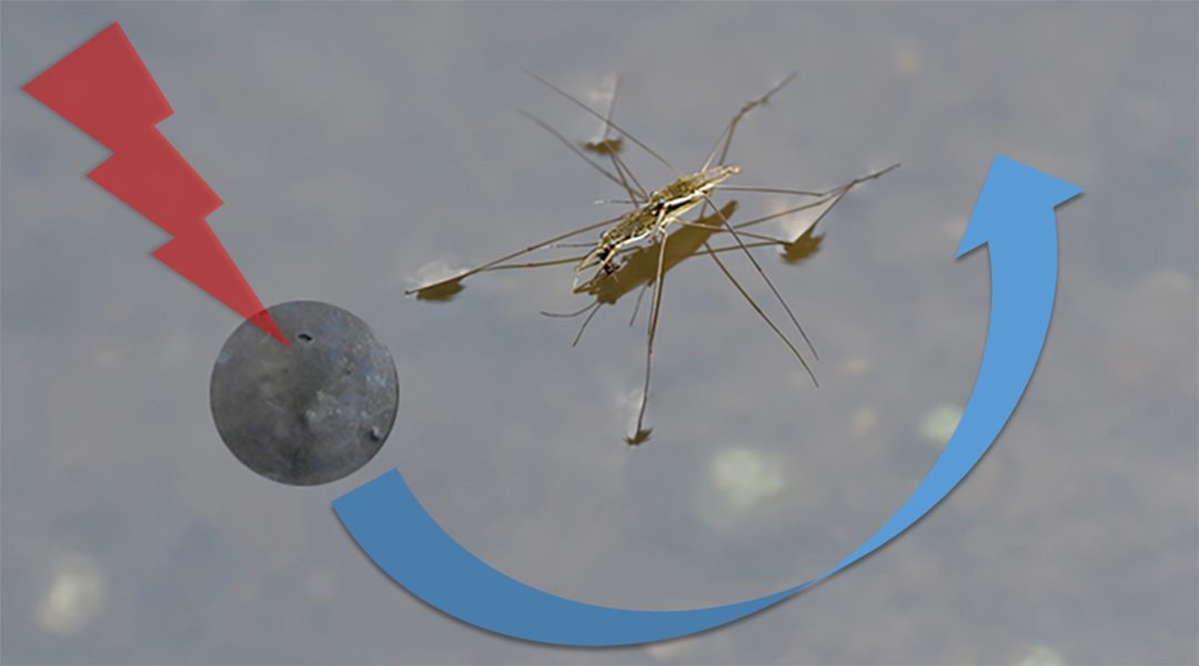 Millibots act as artificial insects