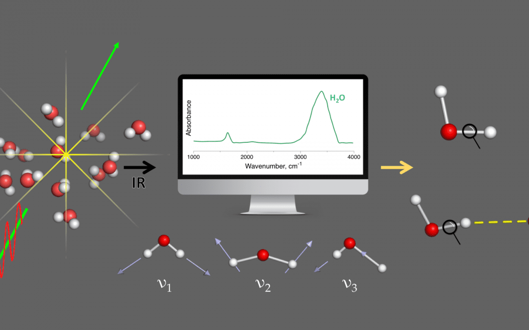 Dissecting molecular vibration