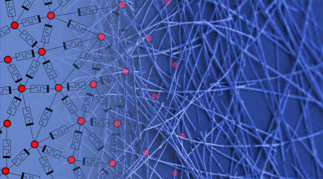 New Brain-Like Computing Device Simulates Human Learning, News