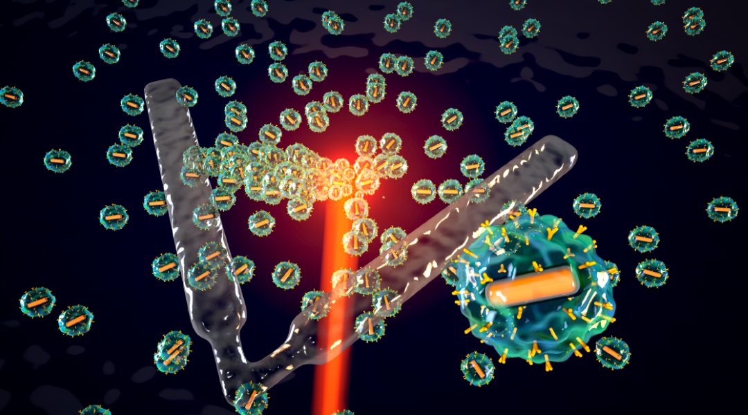 Building soft microrobots on demand from active colloids