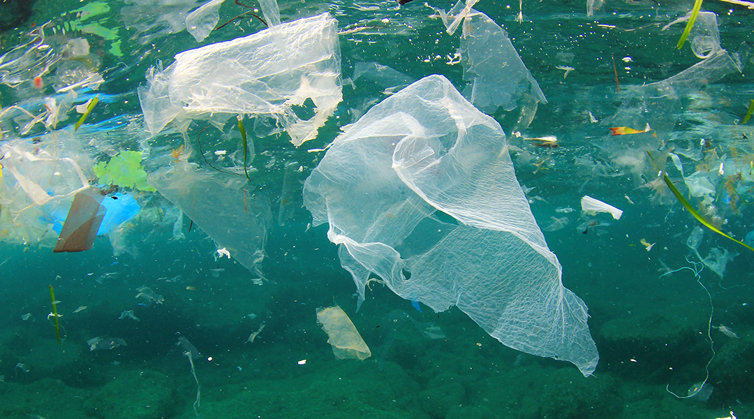 Plastic recycling from Europe dumped in Asian waters