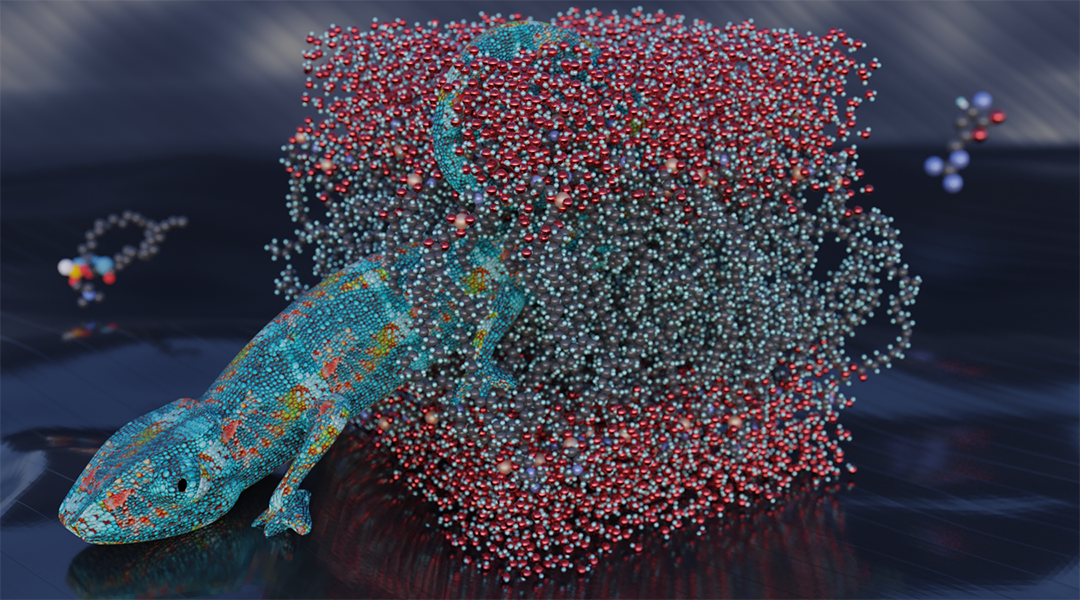 Bridges, wires, and a chameleon: Crossing the membrane’s fortifications