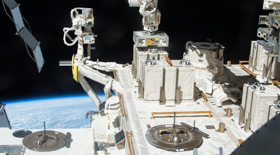 Can bacteria survive in space?