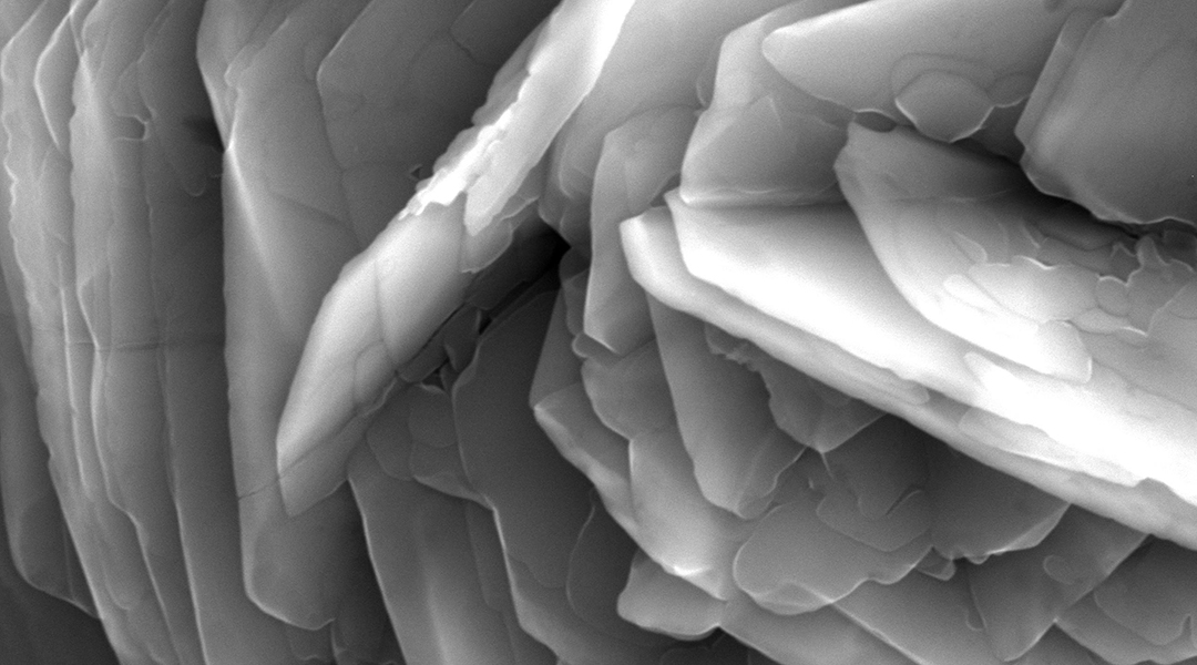 A rose garden on titanium surfaces