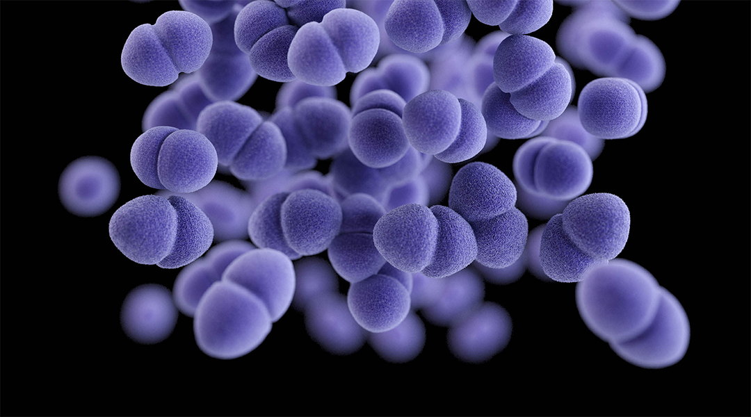 New antibiotic for deadly superbug could save tens of thousands of lives