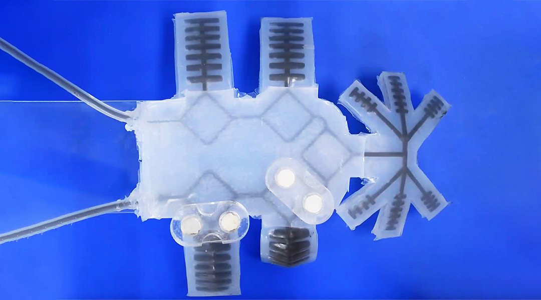 Improving autonomy in soft robots using magnetic fluids