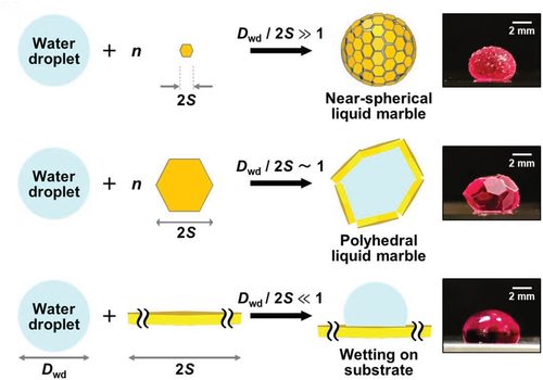 Magnetic liquid marble characteristics: a Magnetic liquid marble on