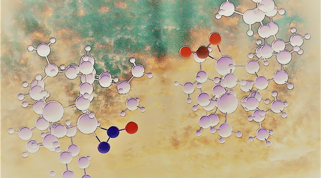 Addressing ozone-depleting nitrous oxide pollution with metal complexes