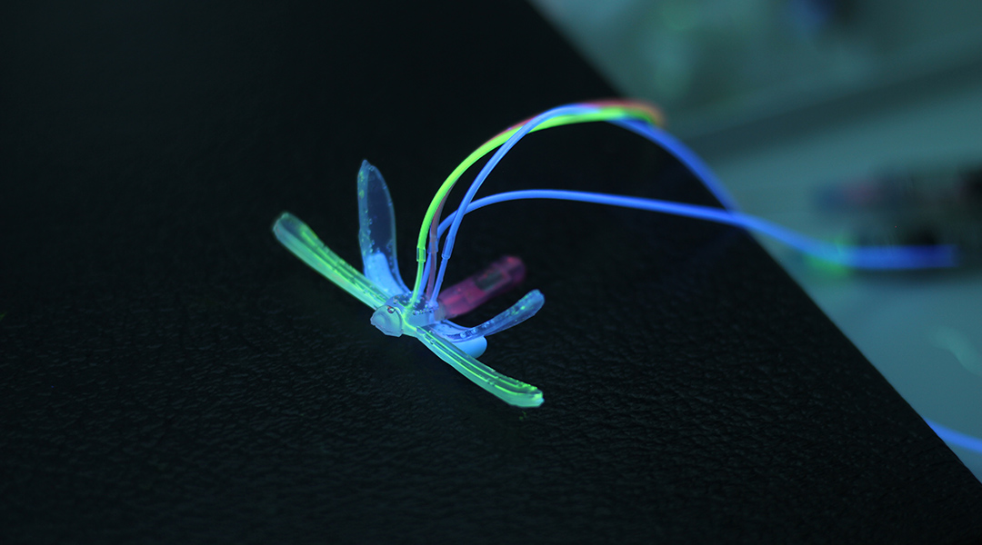 DraBot: A soft robotic dragonfly that senses and monitors its environment