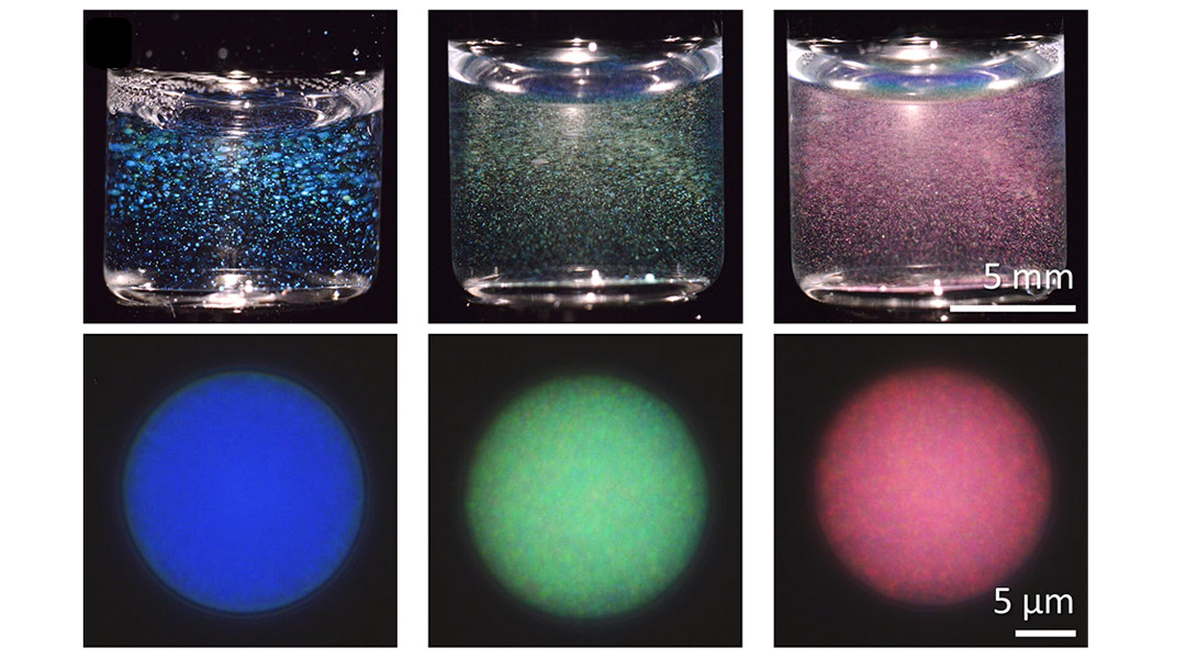Bottlebrush polymers create a rainbow of structural colors