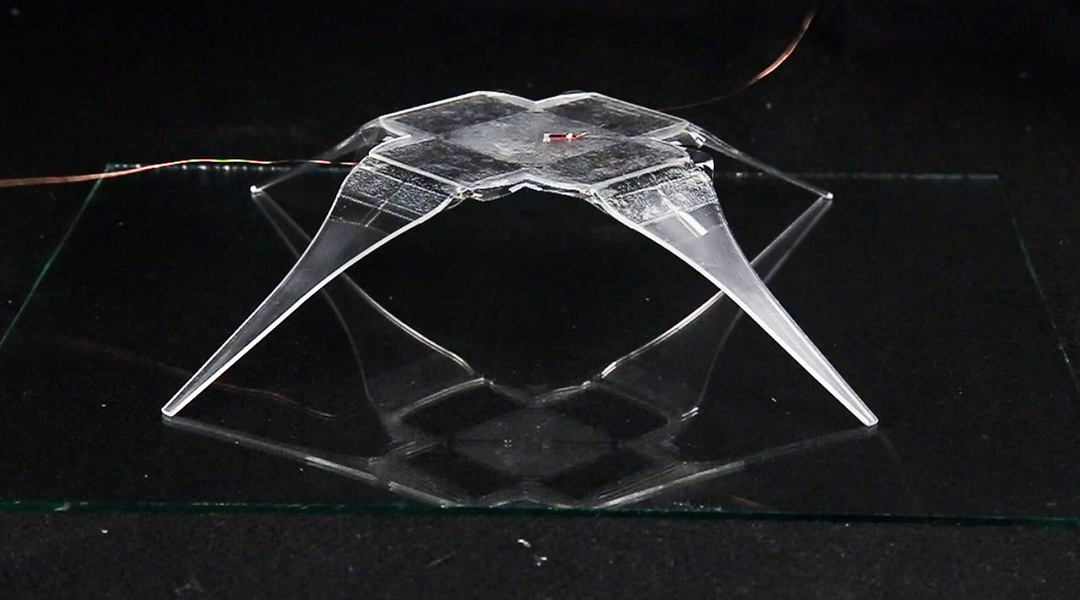 Spider-inspired joints make a leap in robotics