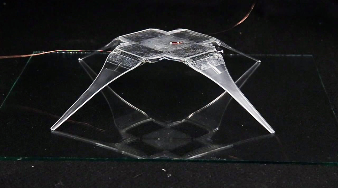 Spider-inspired joints make a leap in robotics