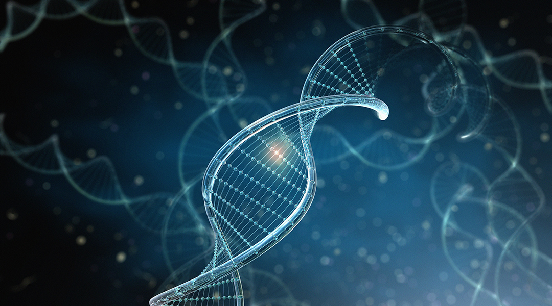 A logic circuit made from DNA