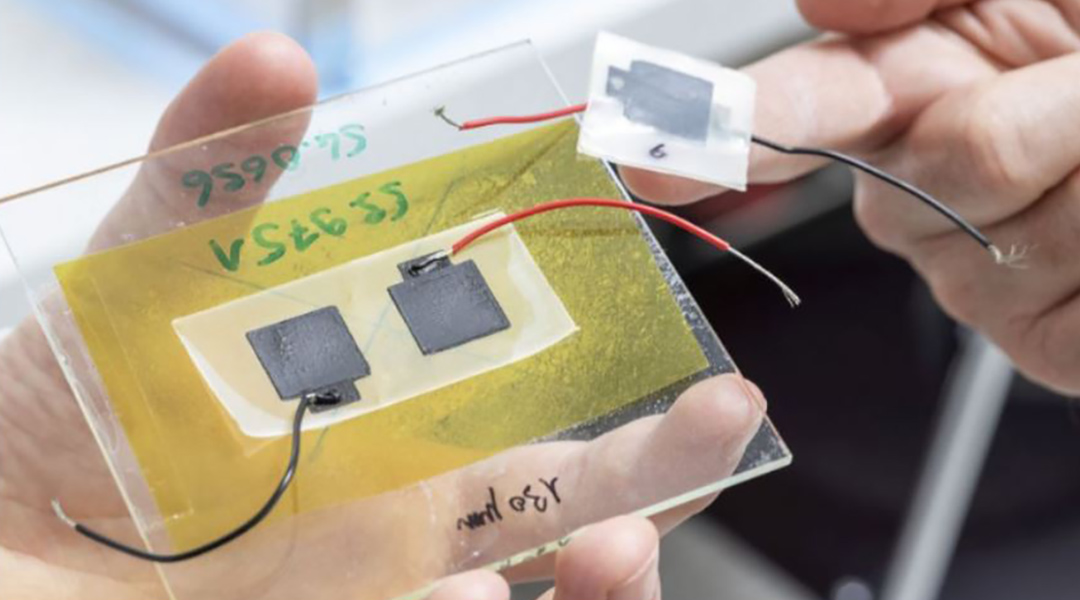 The biodegradable battery