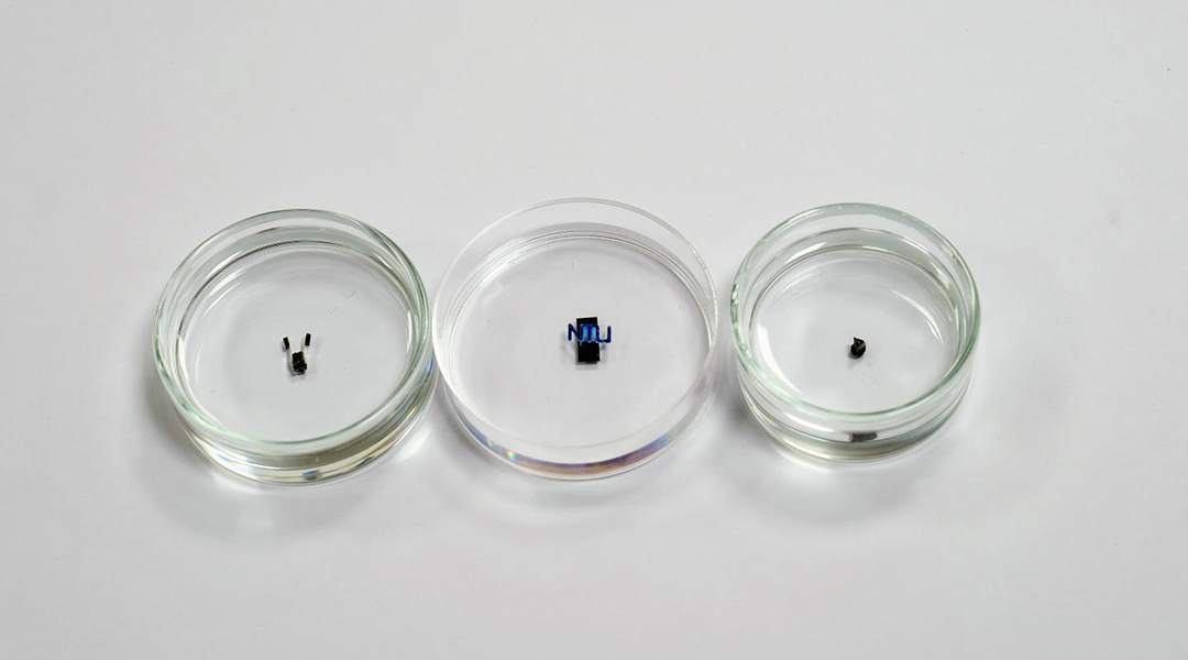 Rice-sized robots maneuvered with magnetic fields