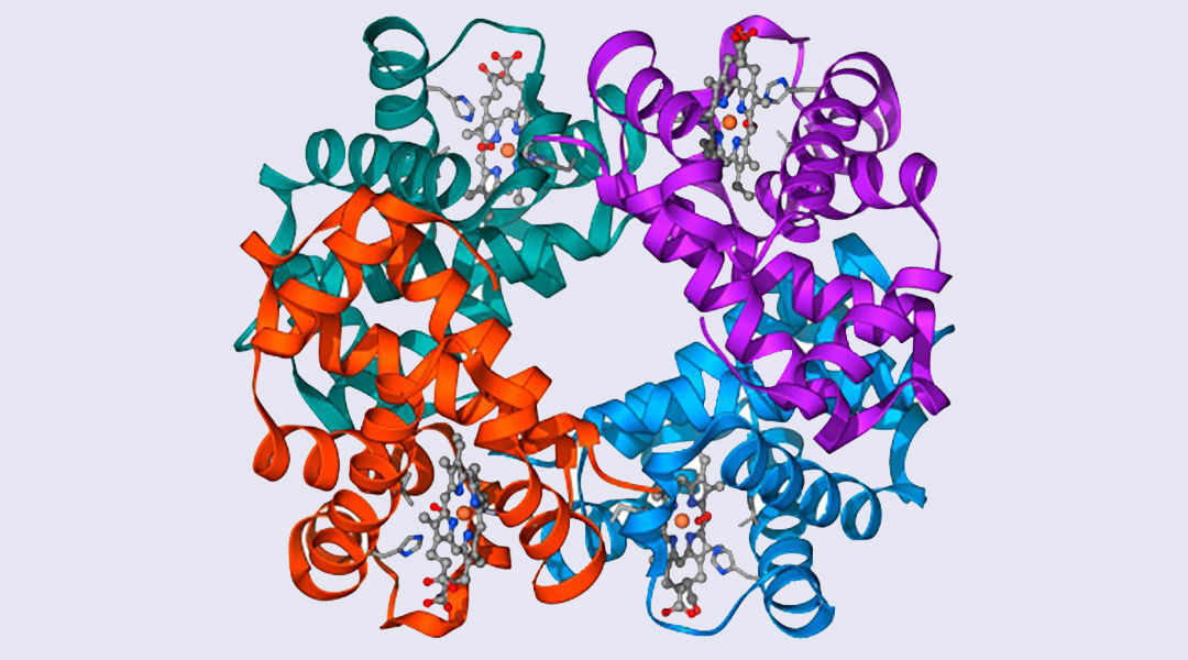 DeepMind used to create the most complete database of predicted 3D protein structures