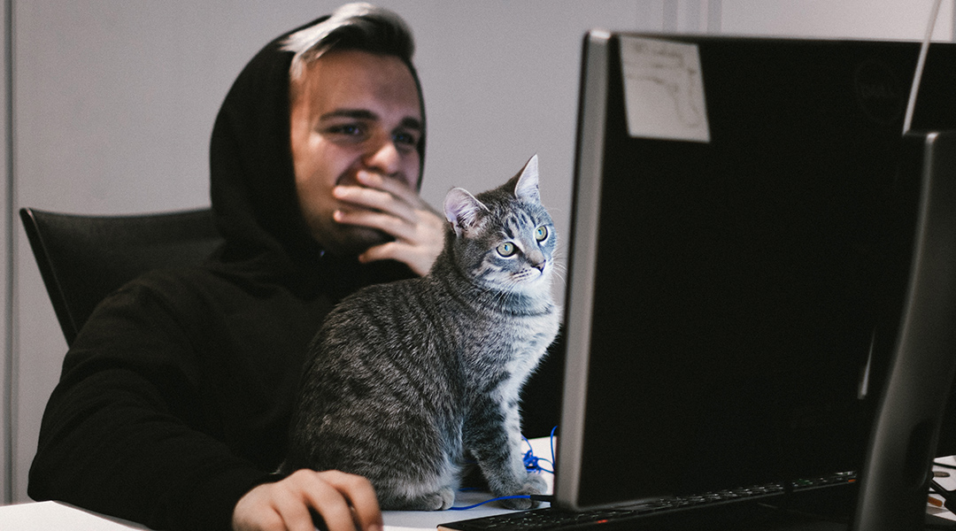 A person working at a computer with a cat on the desk.