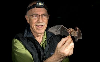 Merlin Tuttle: Helping bats helps people