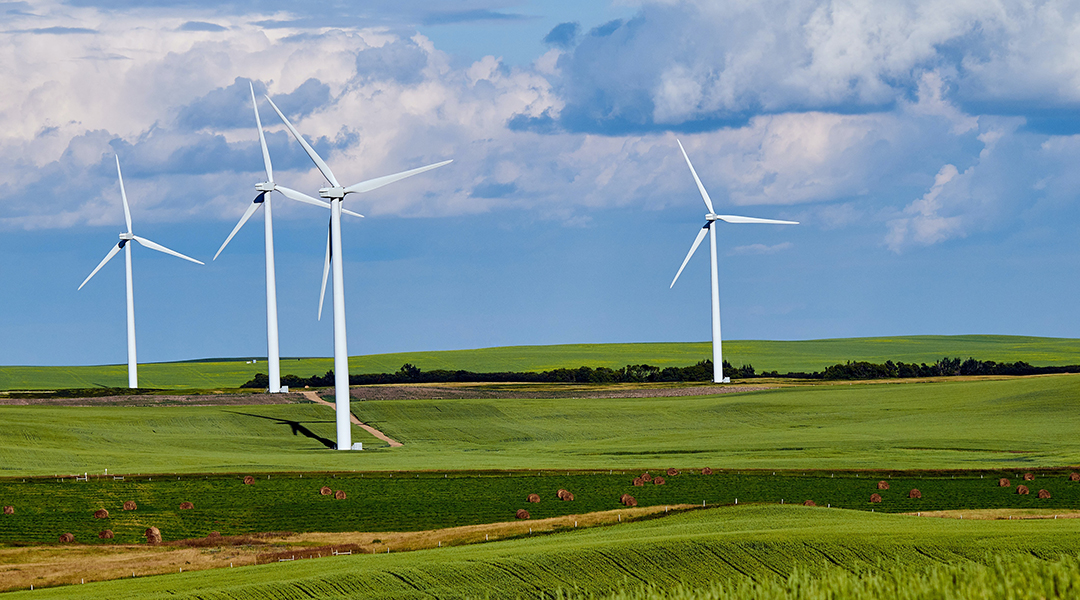 wind turbines in an open field
