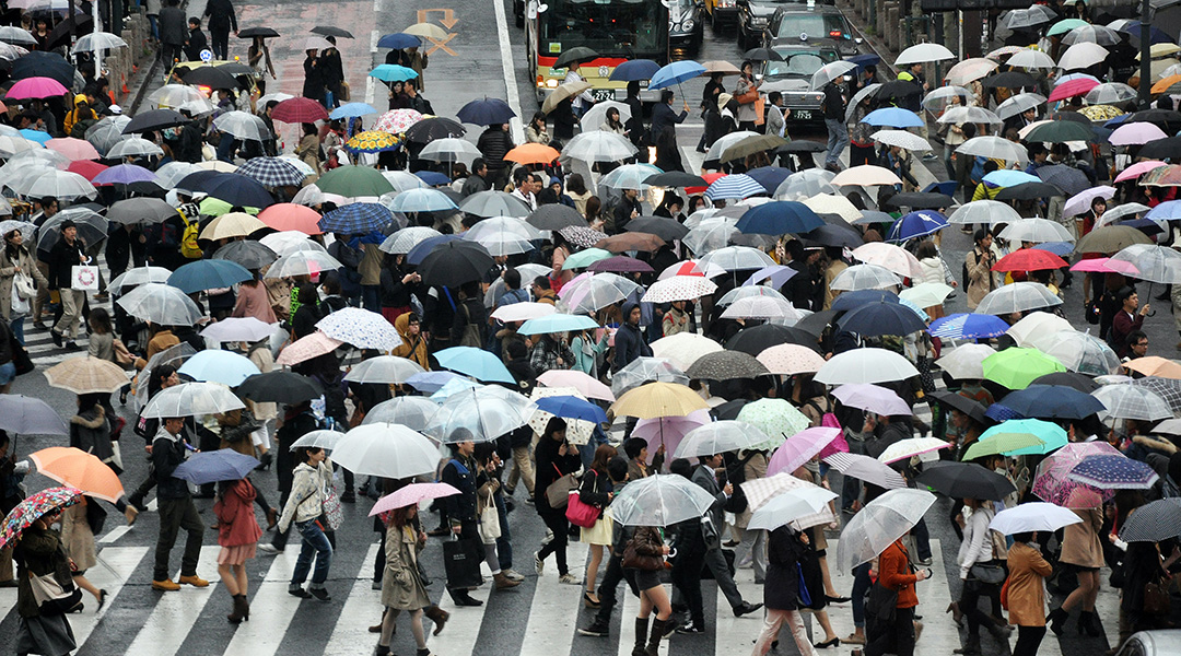 People with umbrellas cross at a busy intersection