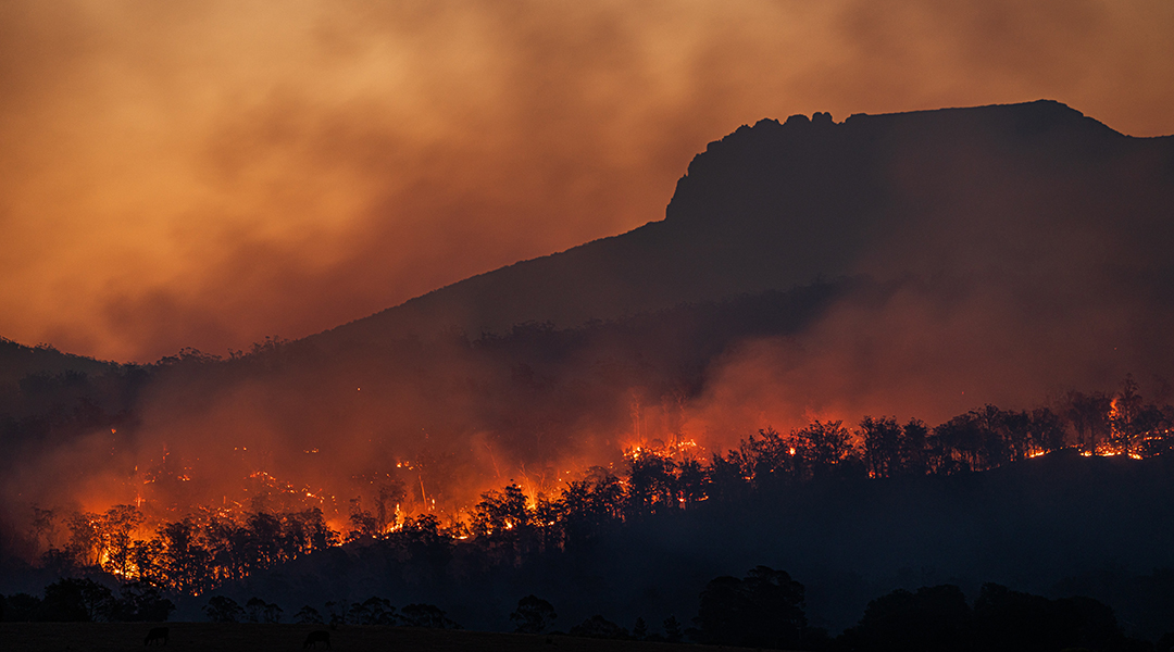 bushfires in Tasmania against a sunset