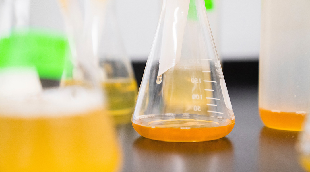 Flasks sitting on a laboratory bench