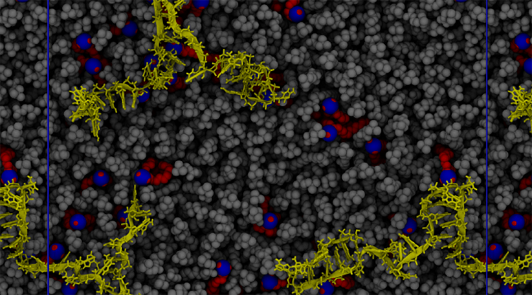 Computer simulations pave the way for improved mRNA vaccines