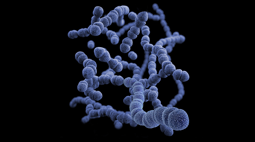 A 3D computer-generated image of a group of gram-positive bacteria, which look like purple worms.