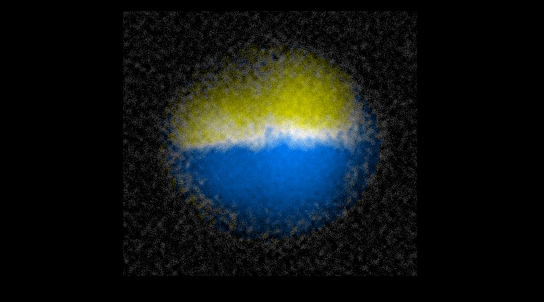 Physicists create a quantum domain wall in the lab