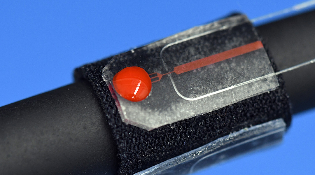 New blood sensor makes colonoscopies safer