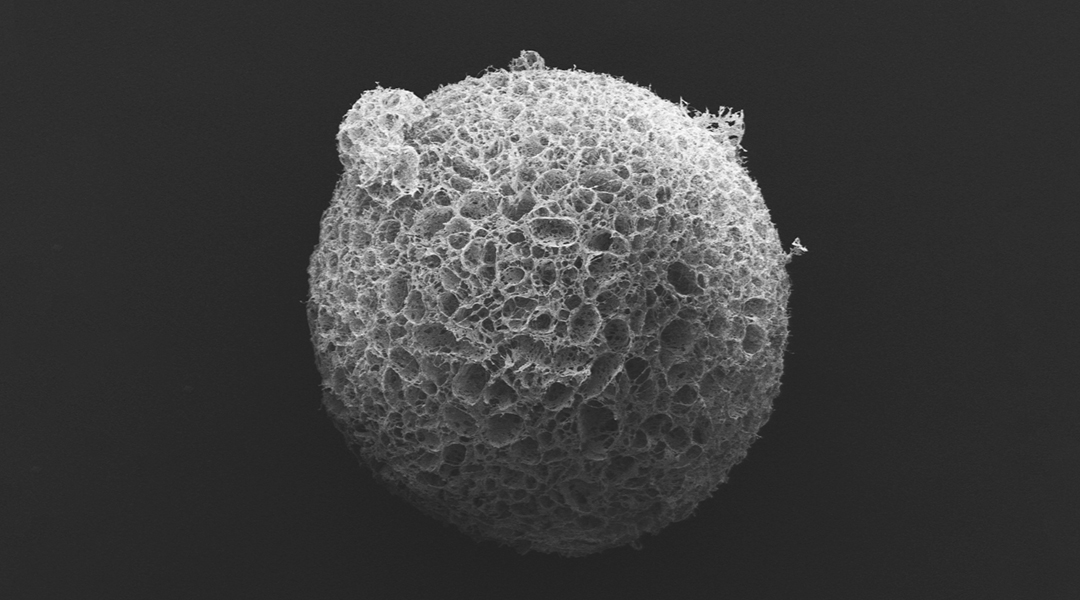 Microparticle fir with viral nanofibers to treat stroke.