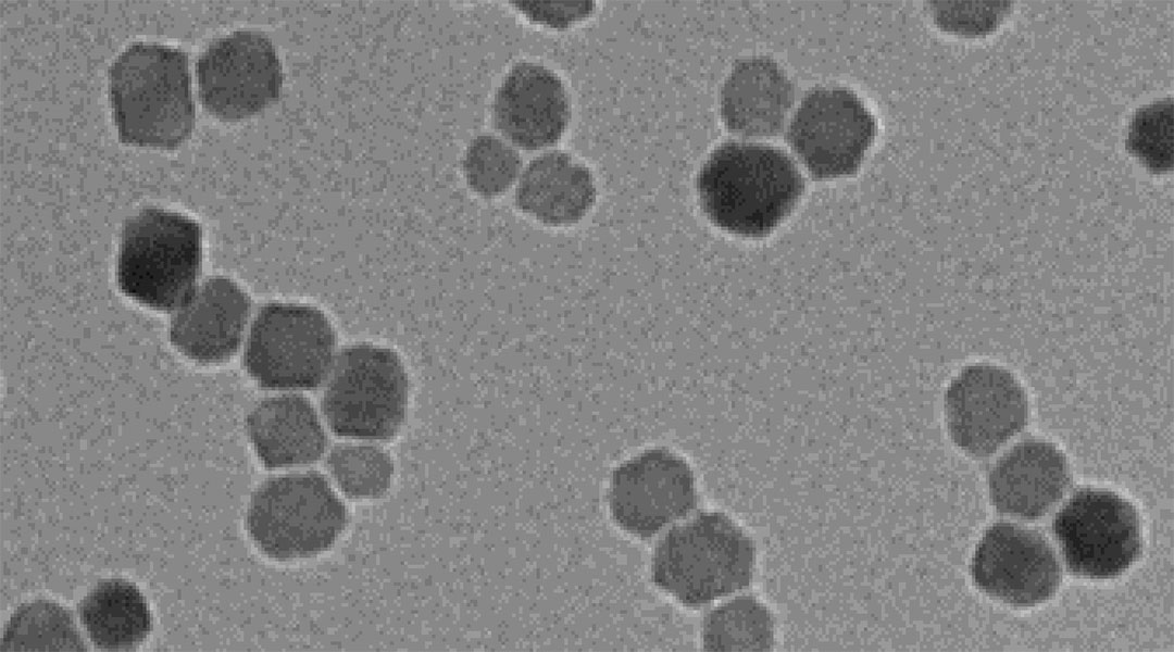 SEM of nanoparticles used to treate endometriosis.