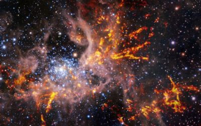 Mapping the gas web of the Tarantula Nebula