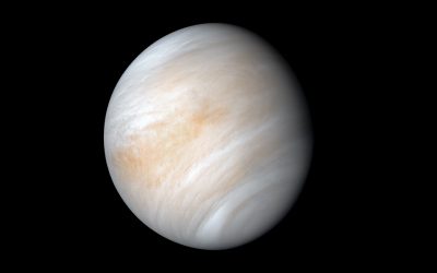 The ongoing search for life on Venus