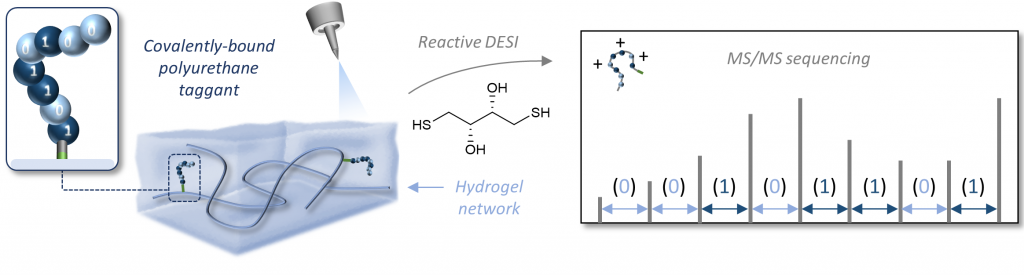 Molecular barcode