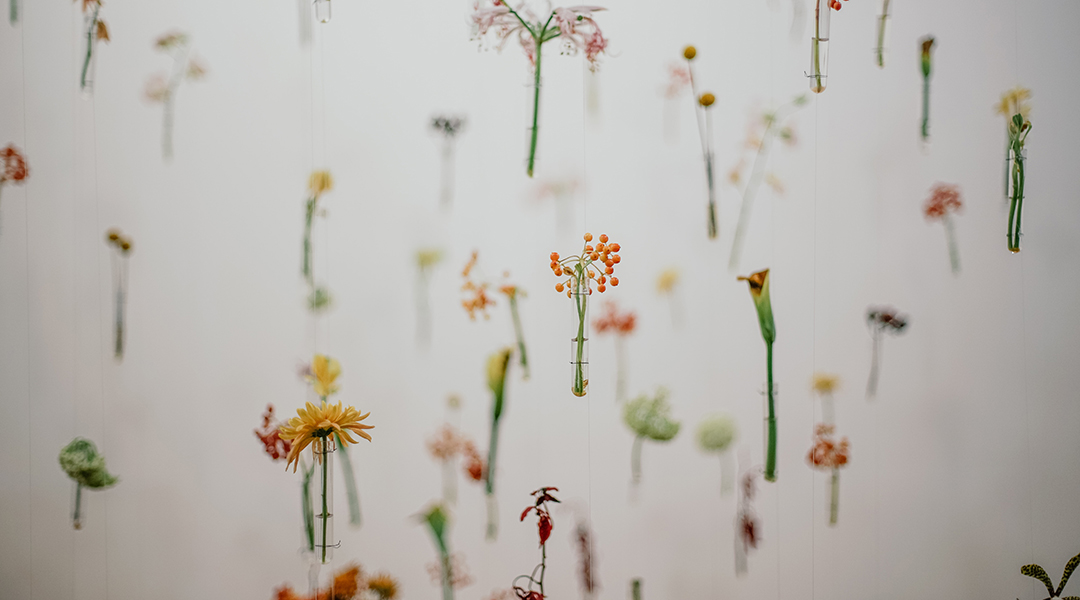 Flowers in test tubes floating on a white background.