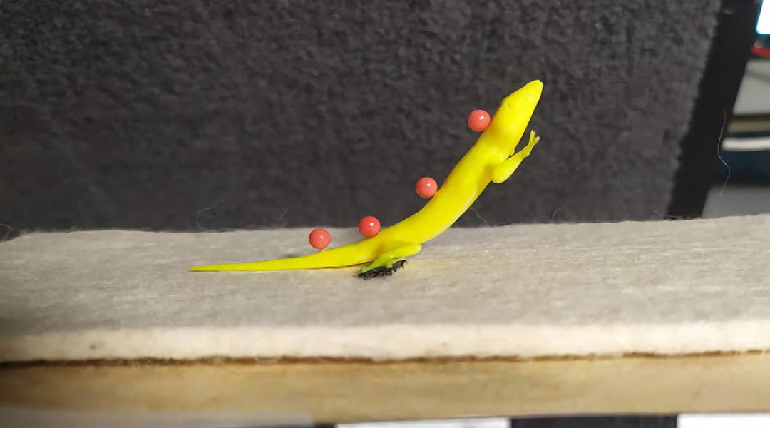 Crash-landing robots take inspiration from geckos